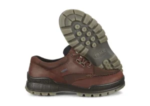 Ecco Men's Track 25 Bison Brown Leather Gore-Tex Waterproof Shoe | Men's Walking