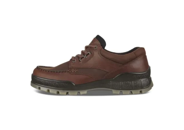 Ecco Men's Track 25 Bison Brown Leather Gore-Tex Waterproof Shoe | Men's Walking