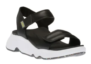 Aetrex Whit Black | Women Women's Clog